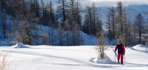 TimFritz unterwegs auf Langlaufski!